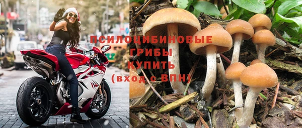 a pvp Елабуга