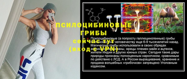 a pvp Елабуга