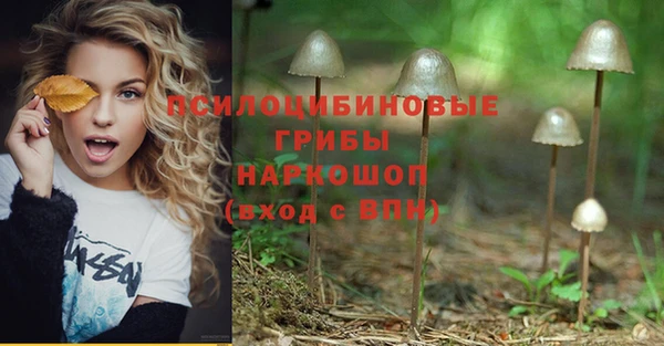 a pvp Елабуга