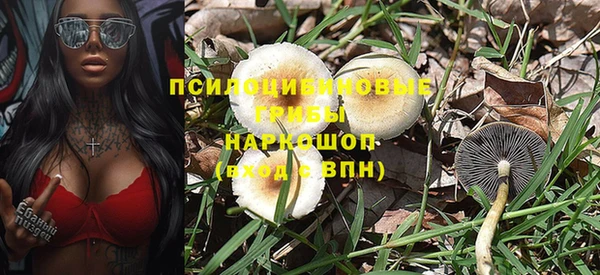 мет Елизово