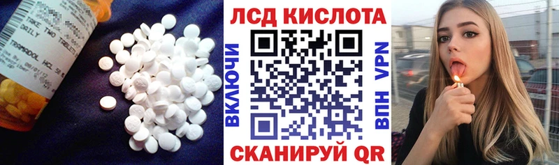 Купить где  Новоржев  Лсд 25 экстази ecstasy 