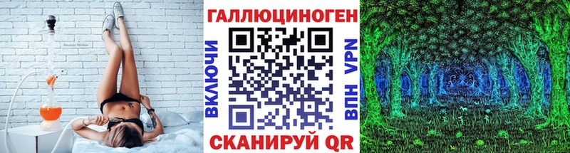 Купить закладки  Новоржев  Псилоцибиновые грибы GOLDEN TEACHER 